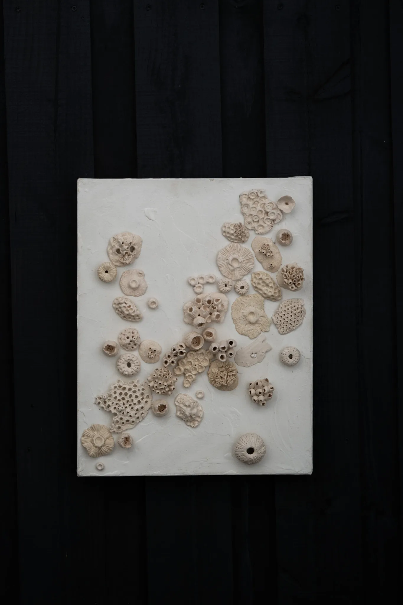 Upright canvas on a black wood wall. Ceramic rosettes, perforated discs and small pierced forms cluster along a diagonal band.