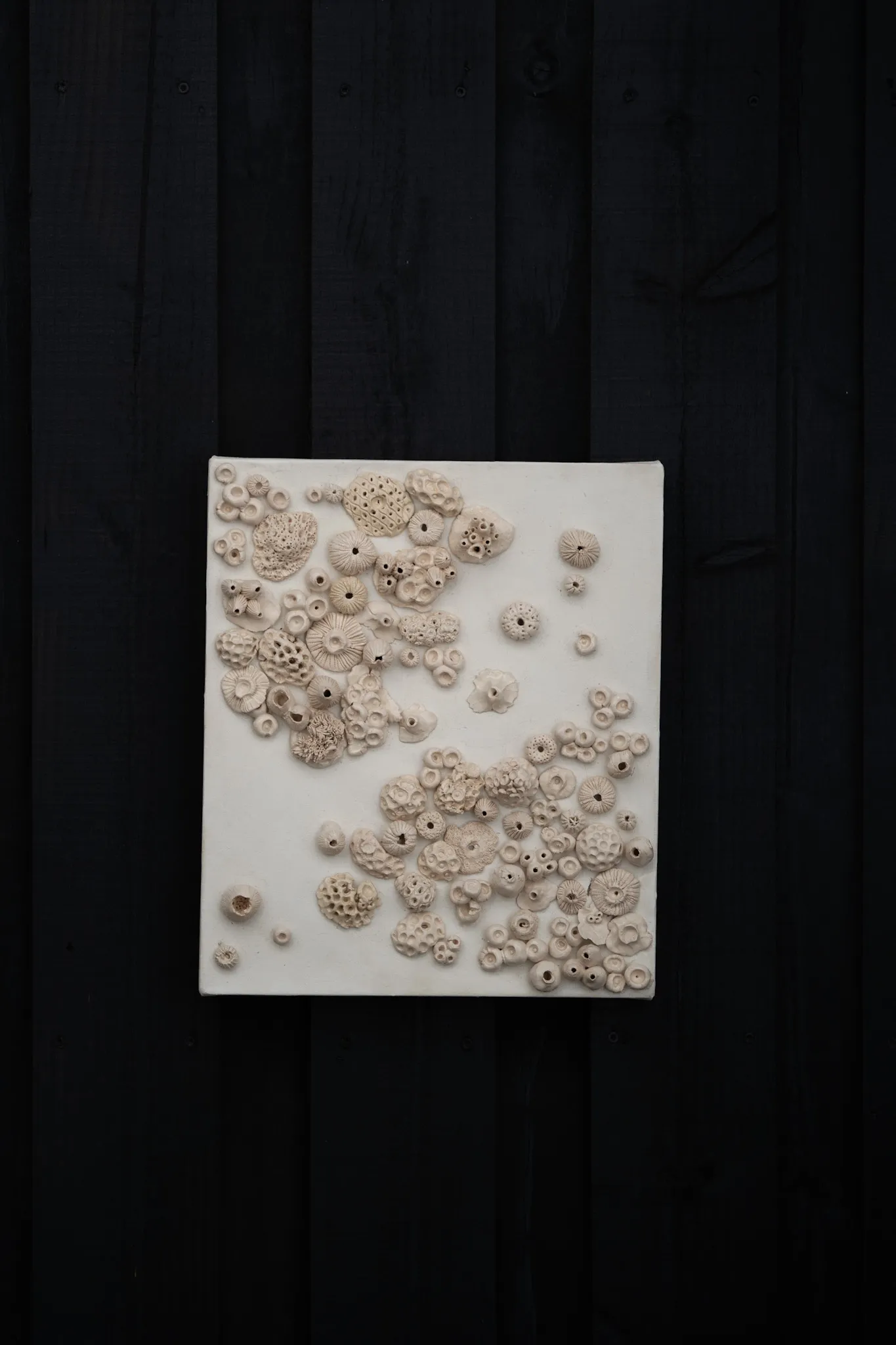 Upright canvas on a black wood wall, its white surface scattered with small pale ceramic discs and rosettes that drift diagonally across it.