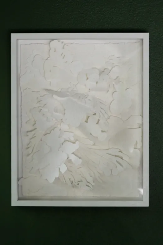 White embossed and hand-cut cotton paper relief in a white box frame on a dark green wall. Broad overlapping leaf and frond shapes fan across the whole sheet in deep relief, the deckled edge of the paper visible inside the frame.