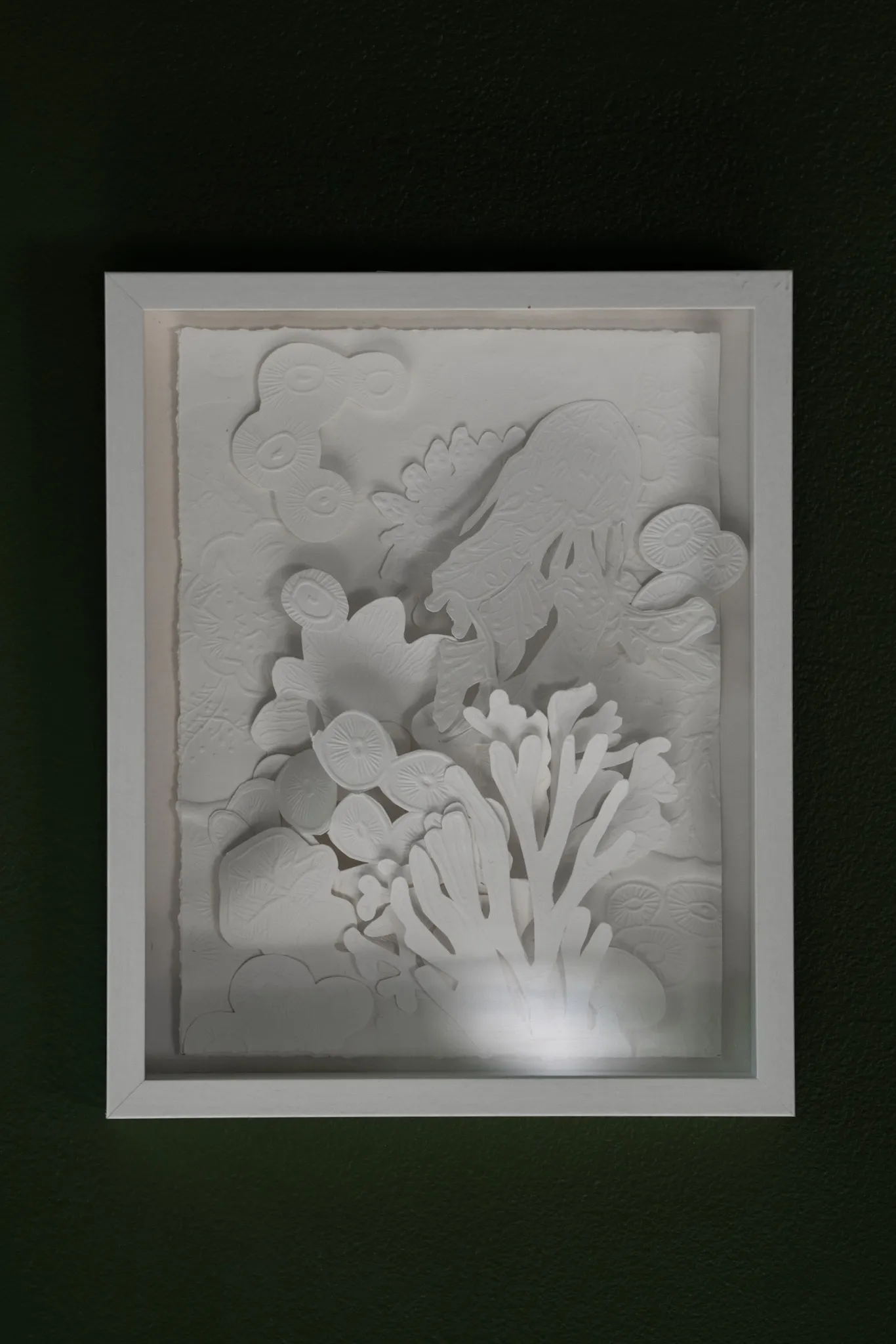 White embossed and hand-cut cotton paper relief in a white frame on a dark green wall. Rounded layered forms surround a branching coral shape at lower right.