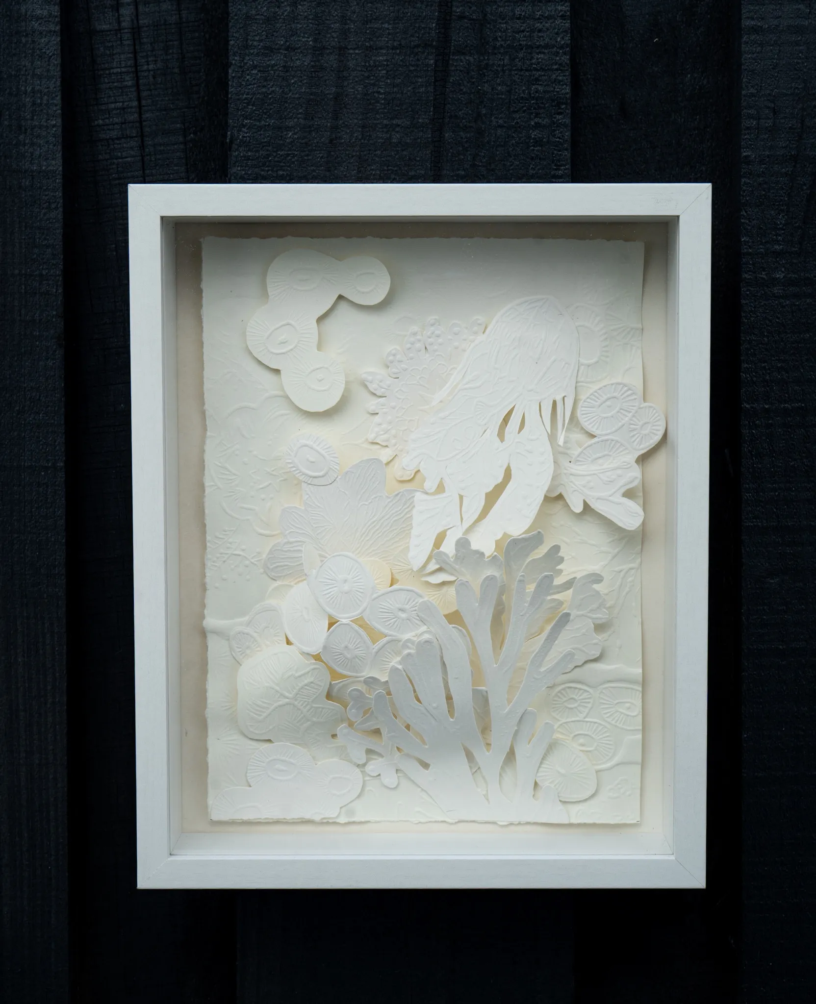 White embossed and hand-cut cotton paper relief in a white box frame on a black timber wall. A branching coral shape rises at lower right beneath a jellyfish form with trailing tentacles, ringed by rounded embossed shapes.